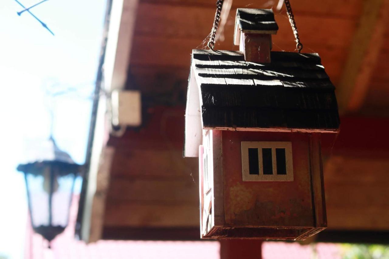 Adeles Sodyba Sturmai Exterior foto